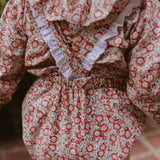 Ranita Redonda Fernanda